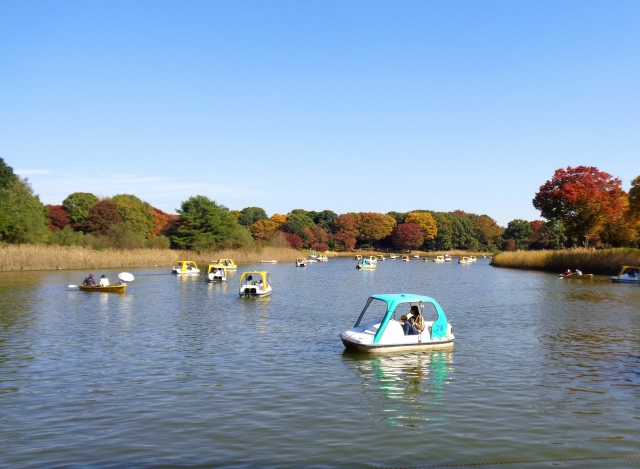 昭和記念公園のボートエリア